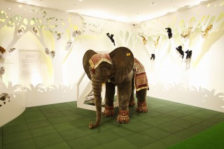 ディスカバリーフォレスト②