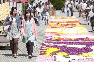 【リゾナーレ八ヶ岳】花咲くリゾナーレ (2)